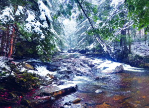 North Branch Cascades Trail